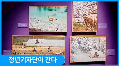 DMZ의 기억과 새로운 미래를 향한 ‘바람의 길목 DMZ’ DMZ의 기억과 새로운 미래를 향한 ‘바람의 길목 DMZ’