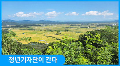분단의 아픔과 평화가 공존하는 곳, 철원을 가다